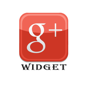 500 Google Website/Widget Likes(+1)