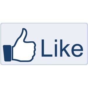 500 Facebook Quality Page Likes/Fans (100% REAL)