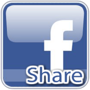 1000 Facebook High Quality Real Shares (can split)