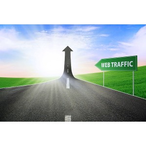 100000 Website/Blog REAL Quality Traffic Hits