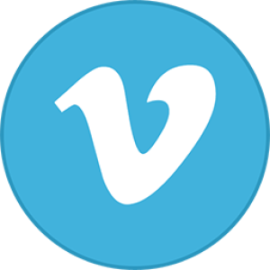 250 Vimeo Quality Followers/Subscribers