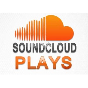 5000 Soundcloud Real Plays (can split)