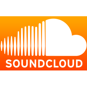 25000 Soundcloud Quality Real Likes (can split)